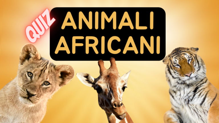 Animali Africani - Immagini Header